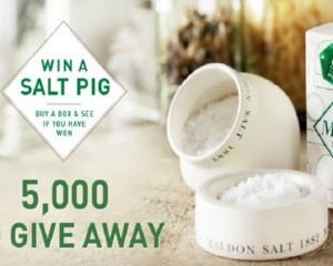 Free Ceramic Salt Pig