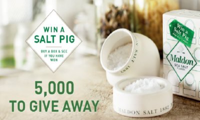 Free Ceramic Salt Pig