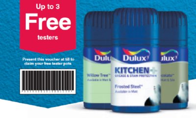 Free Dulux Tester Paint Pots