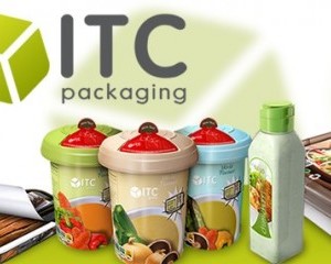 Free Food Container