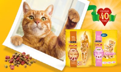 Free Go-Cat Samples