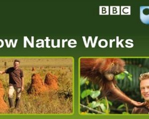 Free How Nature Works Booklet