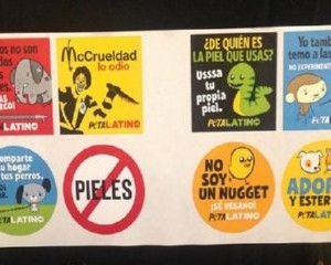 Free PETA Animal Stickers