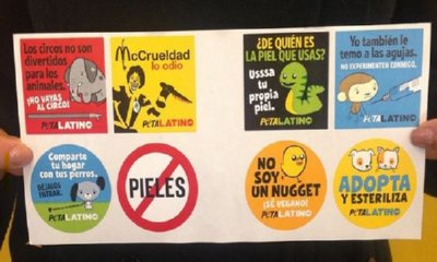 Free PETA Animal Stickers