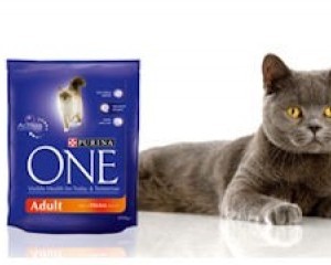 Free Purina Cat Food